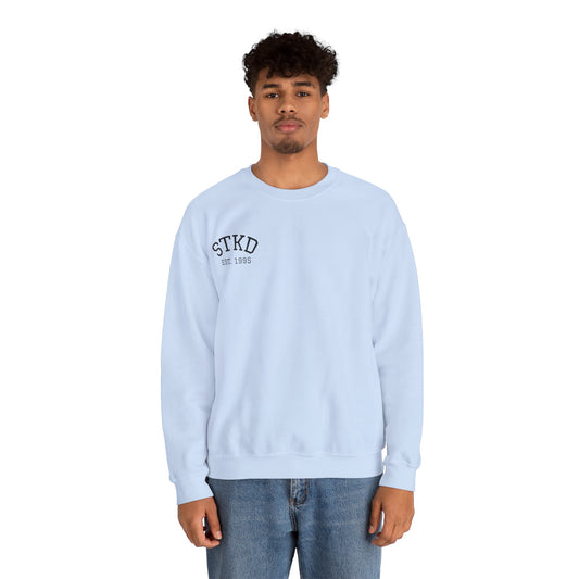 Vintage-Inspired Crewneck - Light blue