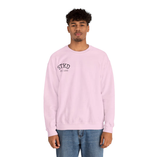 Vintage-Inspired Crewneck - Light Pink